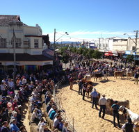 NCMC Casino Beef Week - Accommodation Brisbane