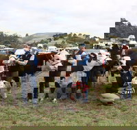 Noorat Show - Accommodation Brisbane