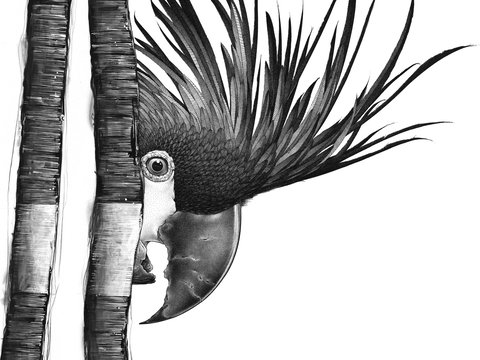 Open Studio's Highlands - Darren Gilbert - Accommodation Brisbane 2