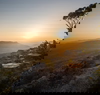 Photowalk with Jon Harris Photography - Nature Photography - Accommodation Brisbane