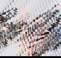 Pulse Perspectives - Virtual Exhibition - Accommodation Brisbane