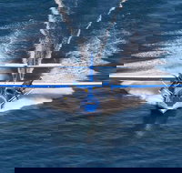 Rathmines Catalina Festival - Accommodation Brisbane