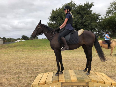 Rouse Roundup - Accommodation Brisbane 1