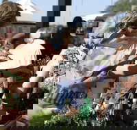 Sale  Producers Market - Accommodation Brisbane