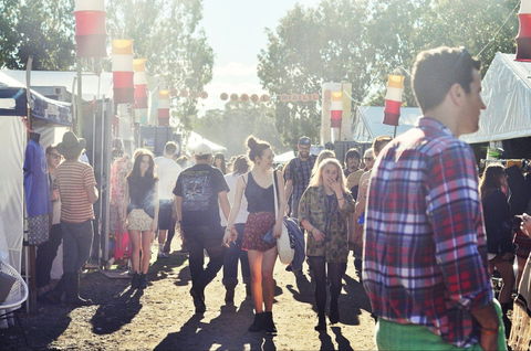 Splendour In The Grass - Accommodation Brisbane 1