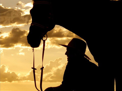 Talmoi Picnic Races - Accommodation Brisbane 1