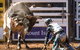 The 2020 Virtual Mount Isa Mines Rodeo - thumb 2