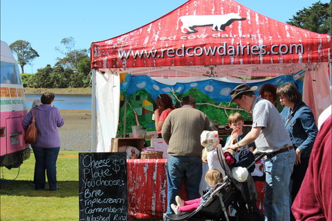 Tulip Festival Wynyard - Accommodation Brisbane 1