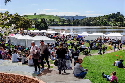 Tulip Festival Wynyard - Accommodation Brisbane 2