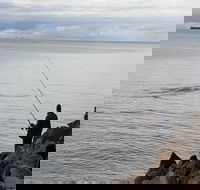 Whale Watching in Portland - Accommodation Brisbane