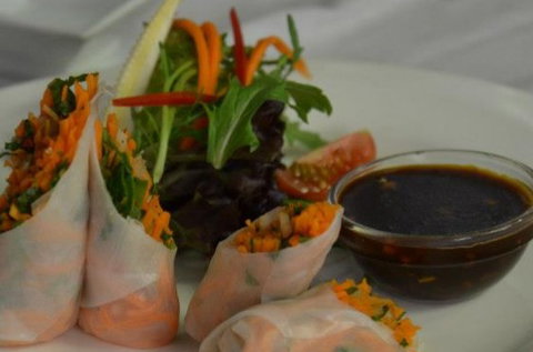 Harvest Vegetarian Restaurant - Accommodation Brisbane 1