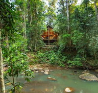 The Canopy Rainforest Treehouses and Wildlife Sanctuary - Accommodation Brisbane