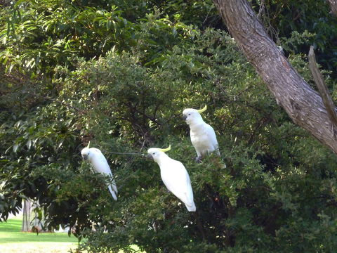 Coachman's Eden - Accommodation Brisbane 5