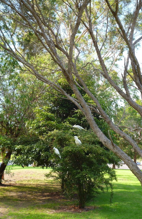 Coachman's Eden - Accommodation Brisbane 4