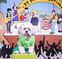 Habitat HQ - Hostel - Accommodation Brisbane