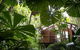 Daintree Wilderness Lodge - thumb 0
