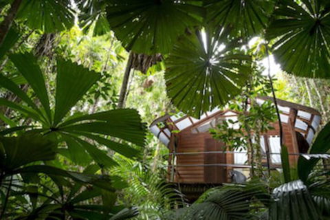 Daintree Wilderness Lodge - Accommodation Brisbane 0