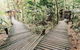 Daintree Wilderness Lodge - thumb 1