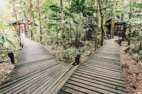 Daintree Wilderness Lodge - Accommodation Brisbane 1