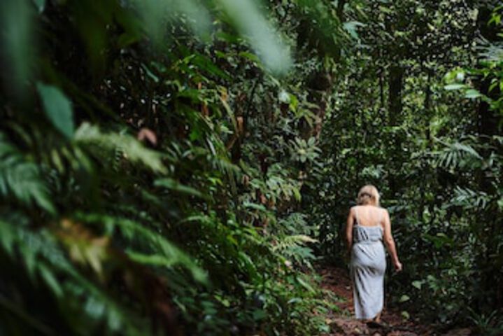 Lower Daintree QLD Accommodation Brisbane