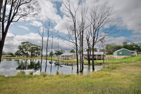 Starline Alpacas Farmstay Resort - Accommodation Brisbane 0