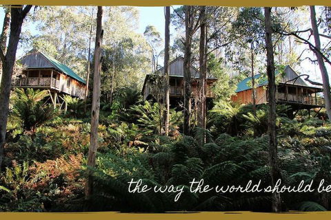 Lemonthyme Wilderness Retreat - Accommodation Brisbane 5
