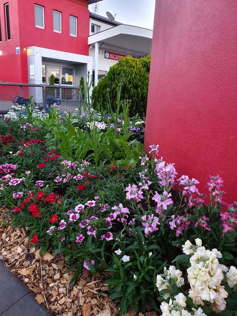 City Golf Club Motel - Accommodation Brisbane 2