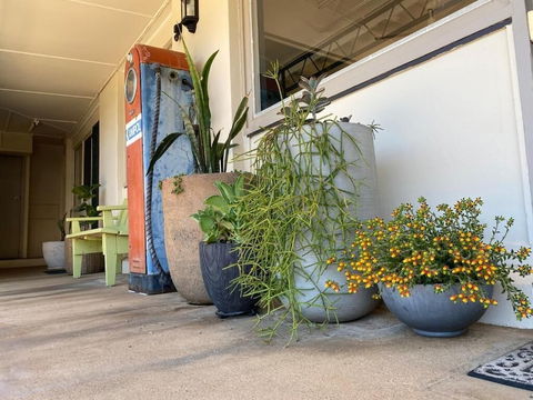 Ben Hall Motor Inn - Accommodation Brisbane 5