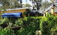 Le Petit Palais Villas - thumb 0