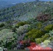 Mayfield on Montville - Accommodation Brisbane