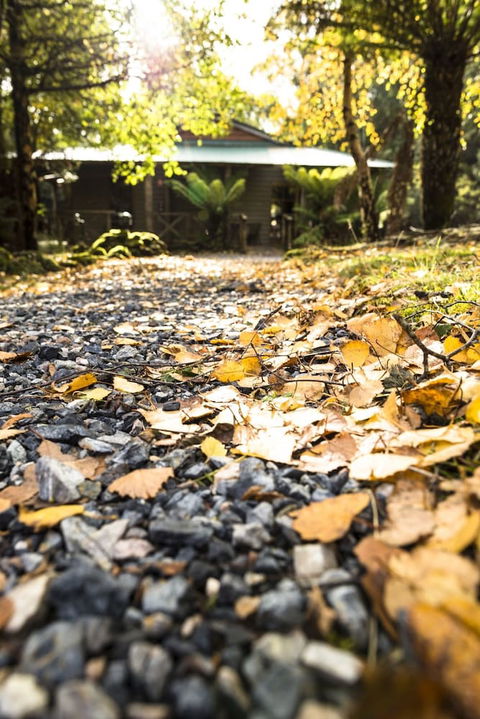 Cradle Forest Inn - Accommodation Brisbane 0