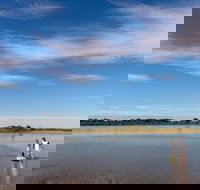 Discovery Parks - Harrington