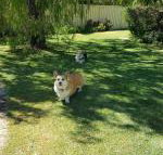 Abbey Beach Shack - Accommodation Brisbane