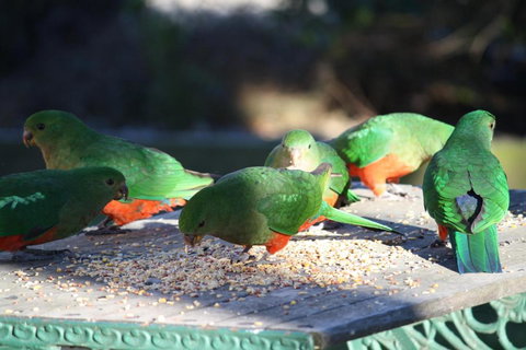 Omeo Motel - Accommodation Brisbane 4