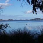 Lilacs Waterfront Villas & Cottages - Accommodation Brisbane 0