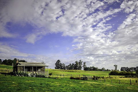 Wines For Joanie Cottage - Accommodation Brisbane 2