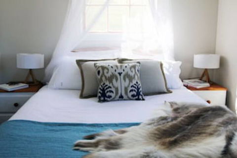 Wines For Joanie Cottage - Accommodation Brisbane 0