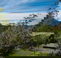 Buttercuphill BB - Accommodation Brisbane