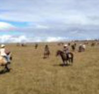 Susan River Homestead - Accommodation Brisbane