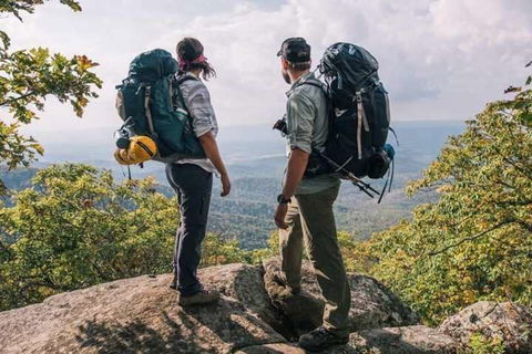 Wickham Retreat Backpackers - Accommodation Brisbane 3