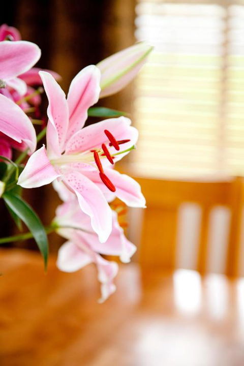 Ocean Mist Villa - Accommodation Brisbane 6