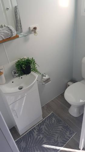 Ceespray On Owen - Accommodation Brisbane 4