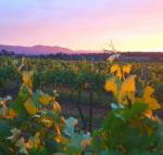 Red Door Collective RDC Estate - Accommodation Brisbane