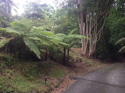 Koompartoo Retreat - Accommodation Brisbane 2