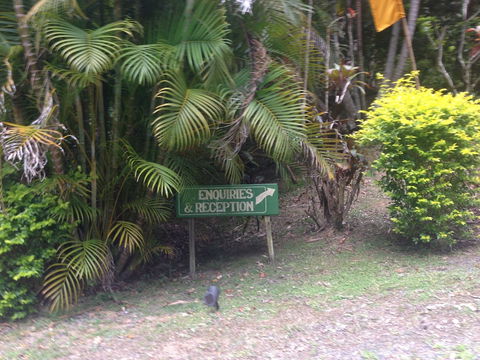 Koompartoo Retreat - Accommodation Brisbane 4