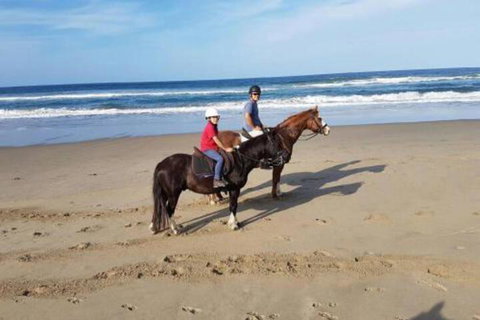 Nautica - Accommodation Brisbane 1