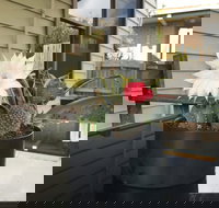 Port Campbell Guesthouse  Flash Packers - Accommodation Brisbane