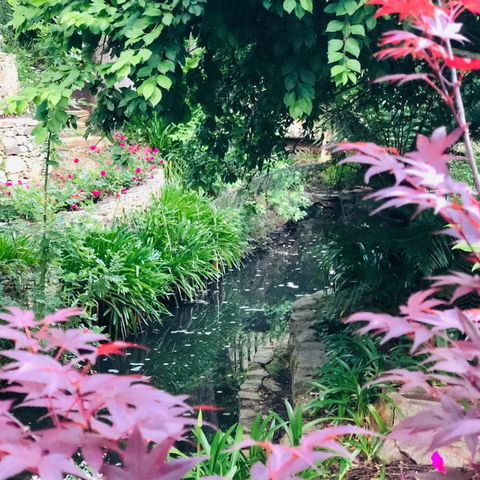 Aldgate Creek Cottage Bed & Breakfast - Accommodation Brisbane 7