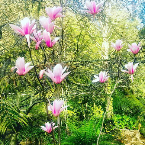 Aldgate Creek Cottage Bed & Breakfast - Accommodation Brisbane 3