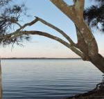 Waterfront Jervis Bay Escape Cooinda - Accommodation Brisbane